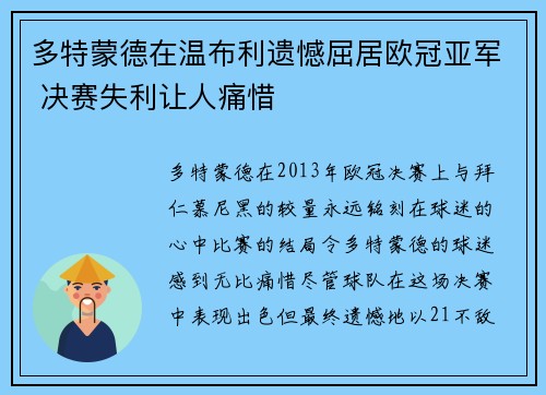 多特蒙德在温布利遗憾屈居欧冠亚军 决赛失利让人痛惜 多特蒙德在温布利遗憾屈居欧冠亚军 决赛失利让人痛惜