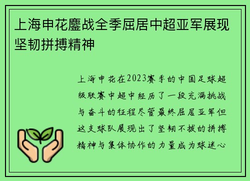 上海申花鏖战全季屈居中超亚军展现坚韧拼搏精神