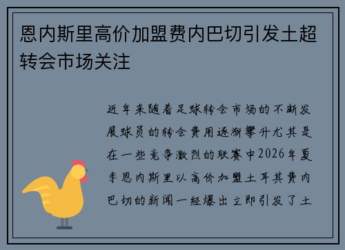 恩内斯里高价加盟费内巴切引发土超转会市场关注 恩内斯里高价加盟费内巴切引发土超转会市场关注